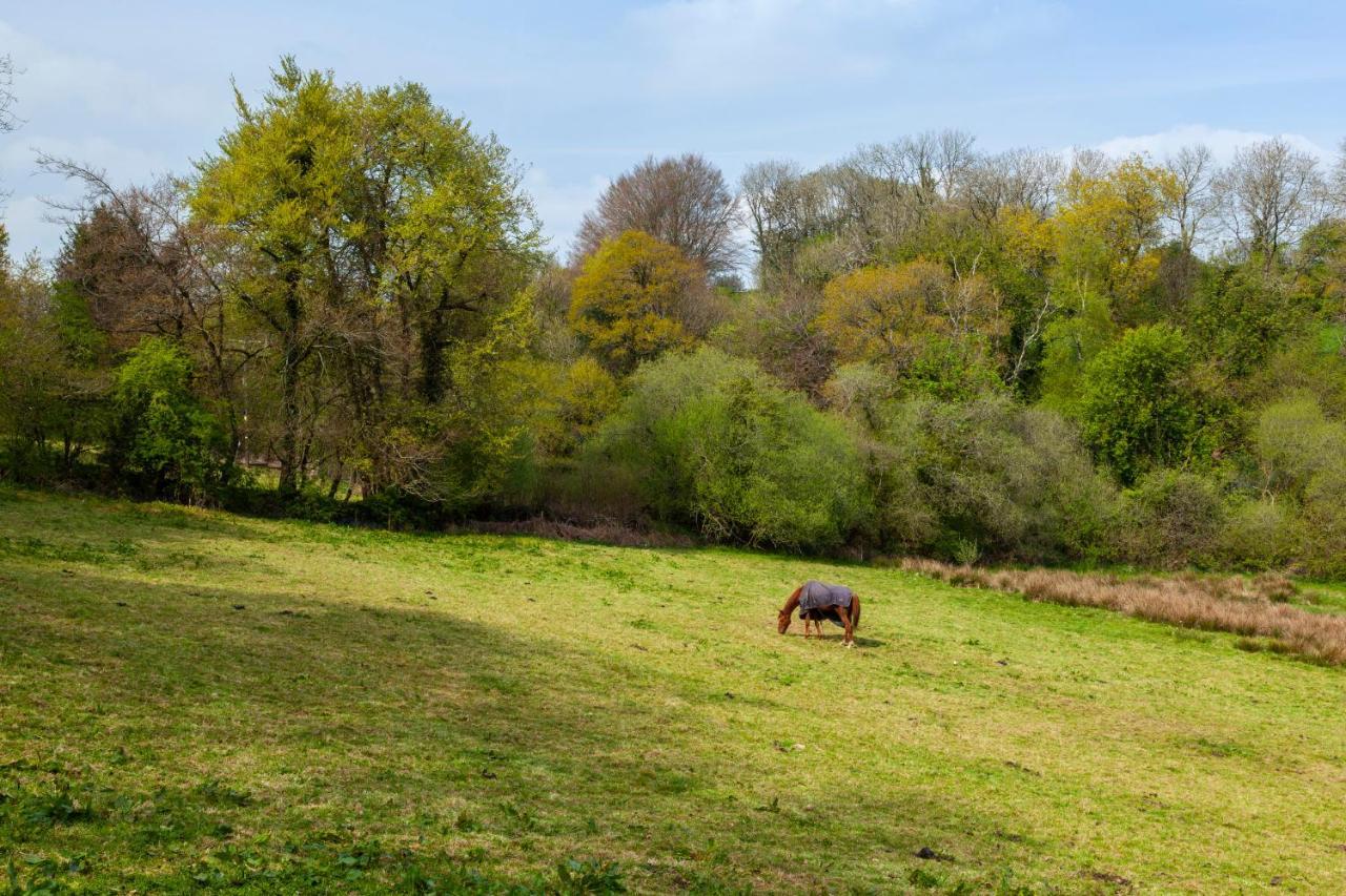 Southcott Farm Cottage هونيتون المظهر الخارجي الصورة