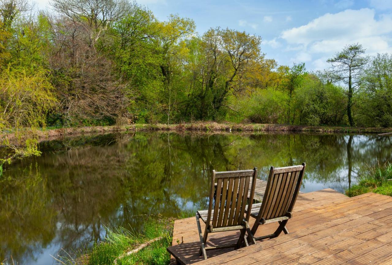 Southcott Farm Cottage هونيتون المظهر الخارجي الصورة